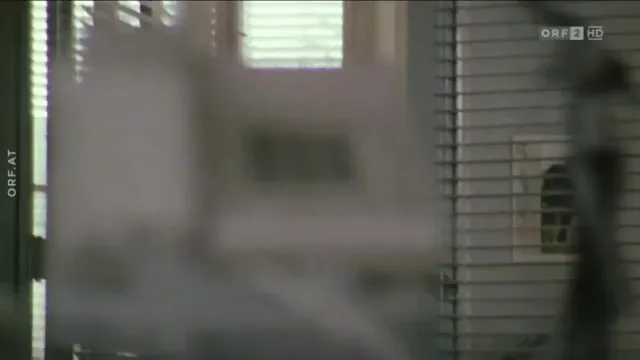 Кадры из сериала Комиссар Рекс (1994)
