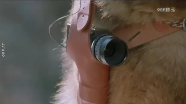 Кадры из сериала Комиссар Рекс (1994)