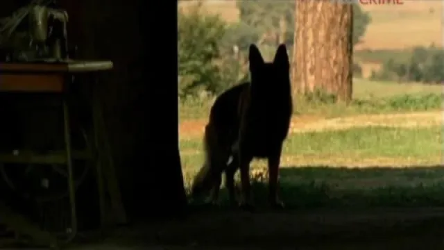 Кадры из сериала Комиссар Рекс (1994)
