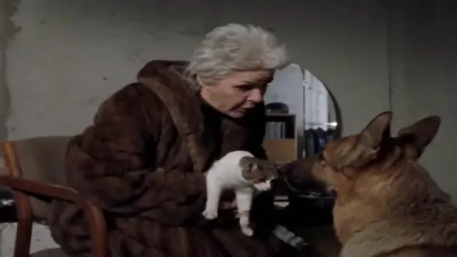 Кадры из сериала Комиссар Рекс (1994)